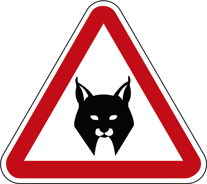 A19c - Linces ibéricos